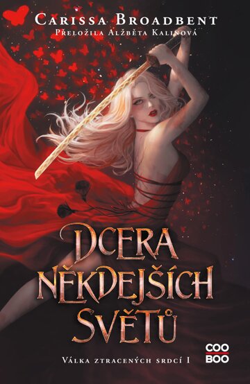 Obálka knihy Dcera někdejších světů