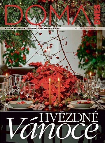 Obálka e-magazínu Doma DNES 21.12.2022