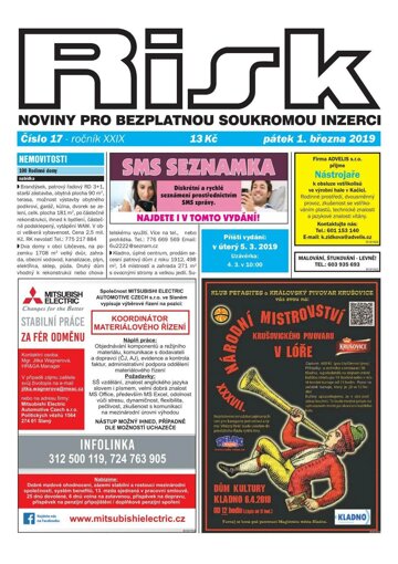 Obálka e-magazínu Risk 17/2019