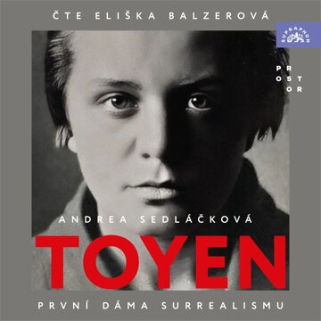 Obálka audioknihy Toyen