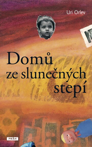 Obálka knihy Domů ze slunečných stepí