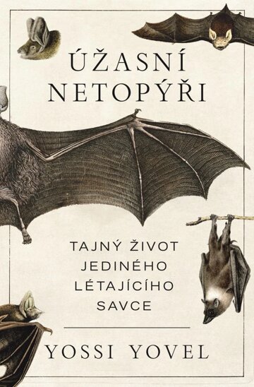 Obálka knihy Úžasní netopýři