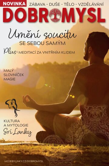 Obálka e-magazínu Dobromysl 17