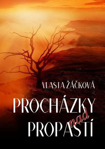 Obálka knihy Procházky nad propastí