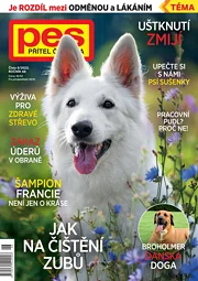 Pes přítel člověka 6/2023