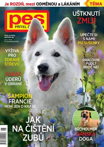 Pes přítel člověka 6/2023