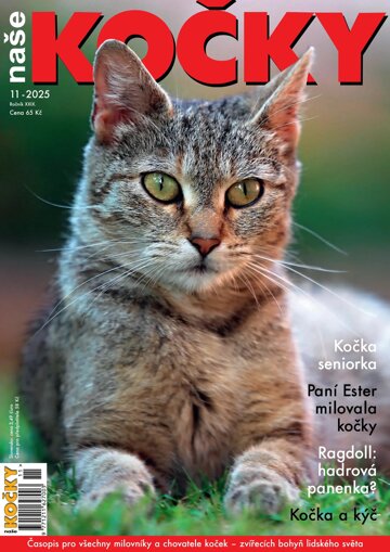 Obálka e-magazínu Naše kočky 11/2025