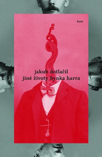 Obálka knihy Jiné životy Hynka Harra