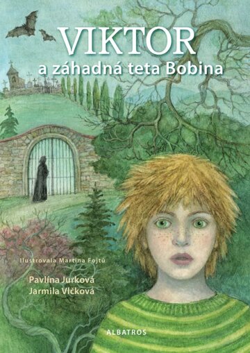 Obálka knihy Viktor a záhadná teta Bobina