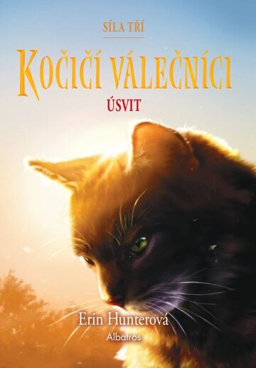 Obálka knihy Kočičí válečníci: Síla tří (6) – Úsvit