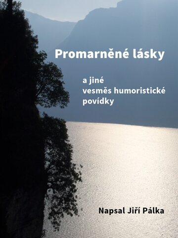 Obálka knihy Promarněné lásky