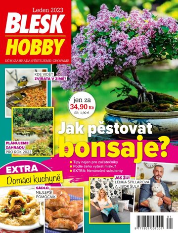 Obálka e-magazínu Blesk Hobby 1/2023