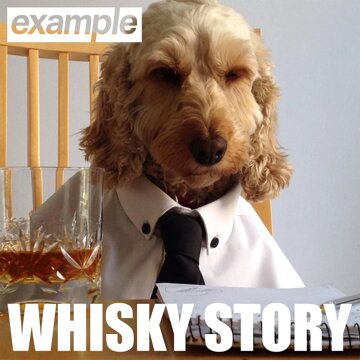 Obálka uvítací melodie Whisky Story