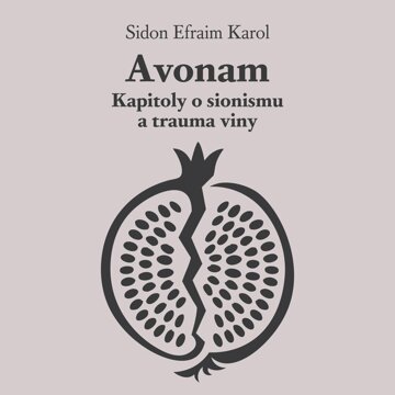 Obálka audioknihy Avonam: Kapitoly o sionismu a trauma viny