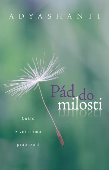 Obálka knihy Pád do milosti