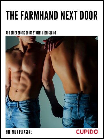 Obálka knihy The Farmhand Next Door - and other erotic short stories