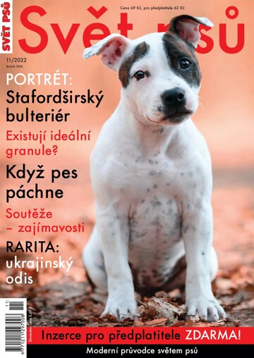 Obálka e-magazínu Svět psů 11/2022