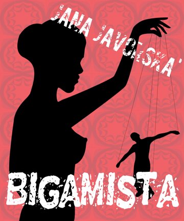 Obálka knihy Bigamista