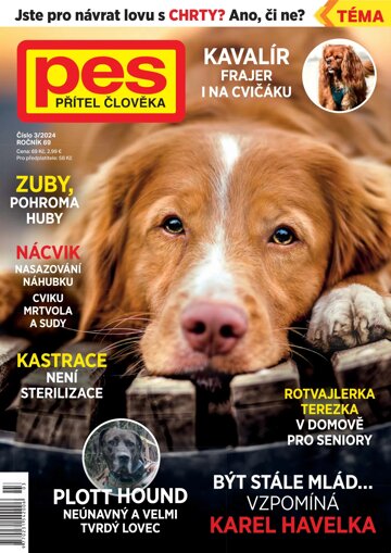 Obálka e-magazínu Pes přítel člověka 3/2024