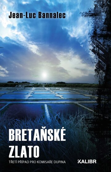 Obálka knihy Bretaňské zlato