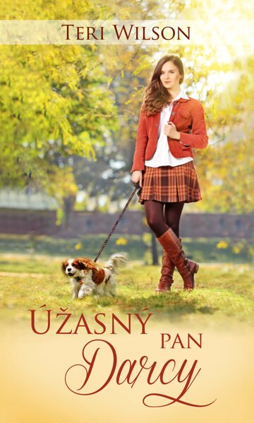 Obálka knihy Úžasný pan Darcy