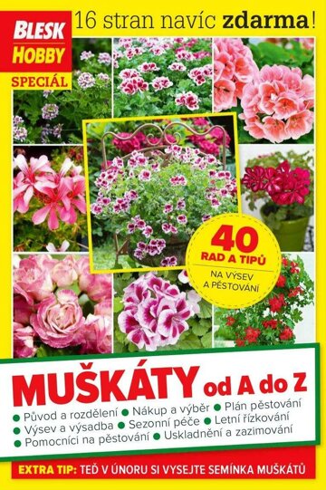 Obálka e-magazínu Příloha Blesk Hobby 6.2.2019