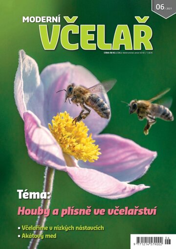 Obálka e-magazínu Moderní Včelař 6/2021