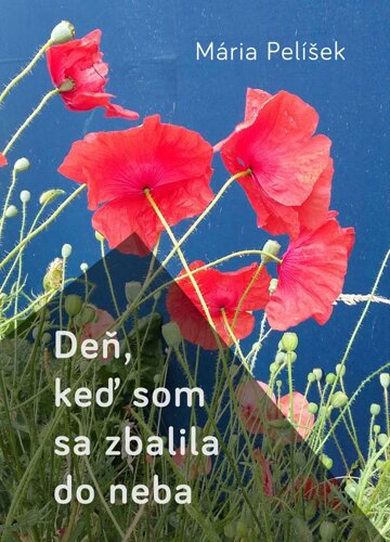 Obálka knihy Deň, keď som sa zbalila do neba