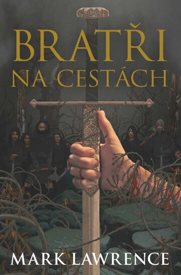 Obálka knihy Bratři na cestách