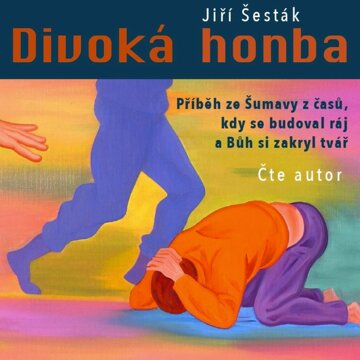 Obálka audioknihy Divoká honba