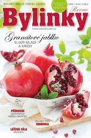 Bylinky 1/19
