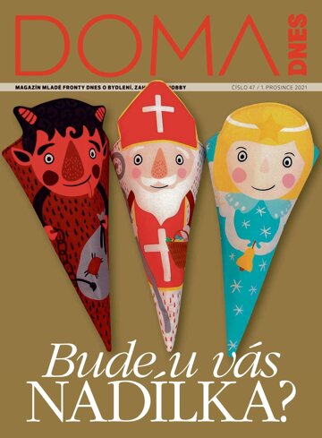 Obálka e-magazínu Doma DNES 1.12.2021