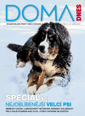 Obálka e-magazínu Doma DNES 27.1.2016