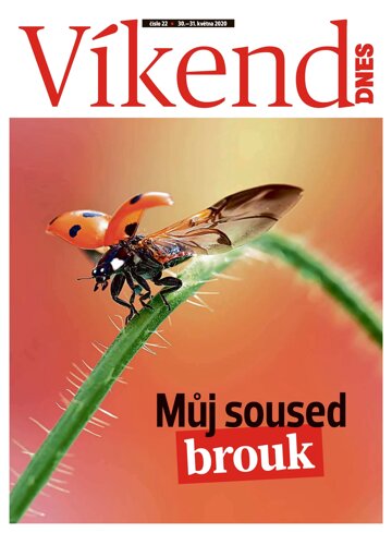 Obálka e-magazínu Víkend DNES Magazín - 30.5.2020