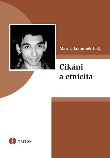 Obálka knihy Cikáni a etnicita