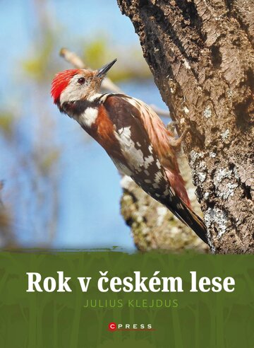 Obálka knihy Rok v českém lese
