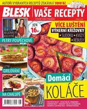 BLESK VAŠE RECEPTY 8/2023
