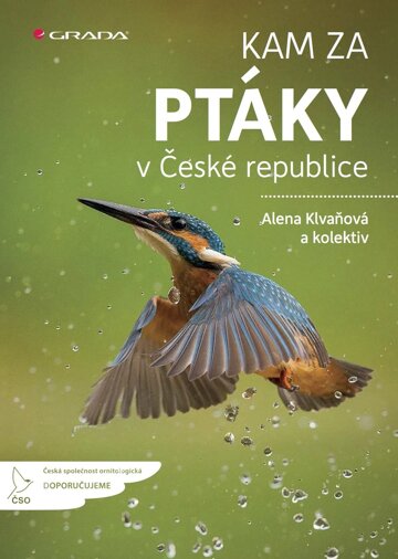 Obálka knihy Kam za ptáky v České republice
