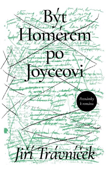 Obálka knihy Být Homérem po Joyceovi