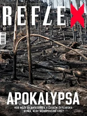 Reflex 31/2022