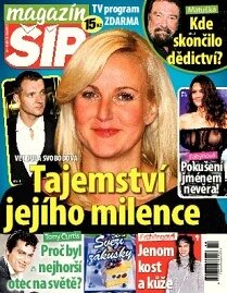 Obálka e-magazínu Magazín Šíp 42/2013