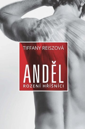 Obálka knihy Anděl