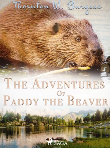 Obálka knihy The Adventures of Paddy the Beaver