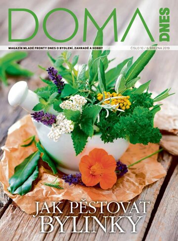 Obálka e-magazínu Doma DNES 6.3.2019