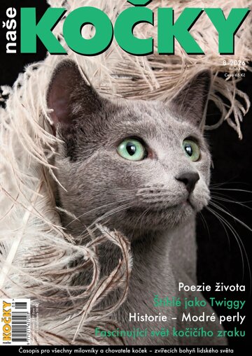 Obálka e-magazínu Naše kočky 8/2026