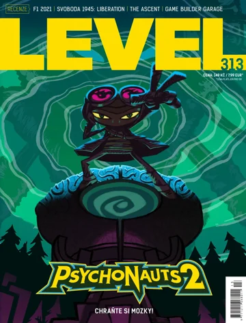 Level 313