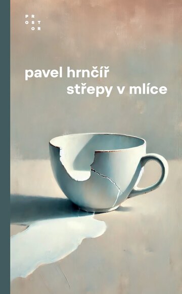 Obálka knihy Střepy v mlíce
