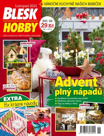 Obálka e-magazínu Blesk Hobby 11/2021