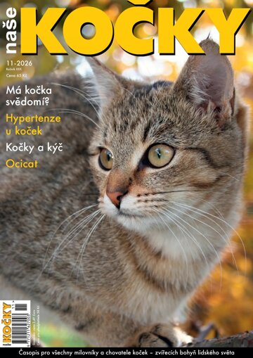 Obálka e-magazínu Naše kočky 11/2026