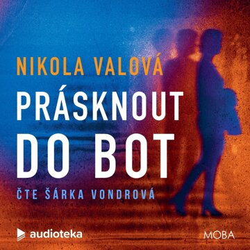 Obálka audioknihy Prásknout do bot